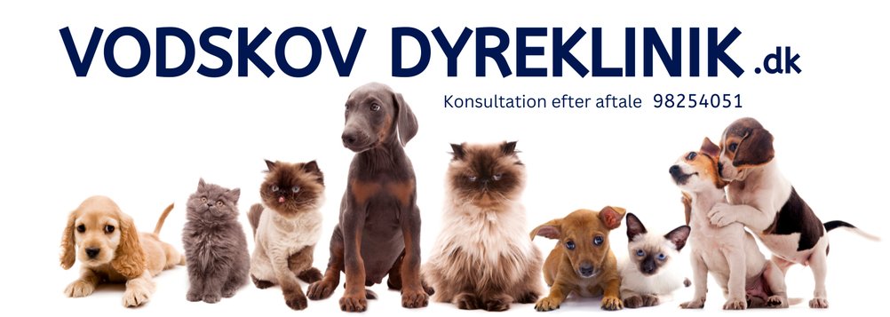 Vodskov Dyreklinik - Dyrlæge Nordjylland
